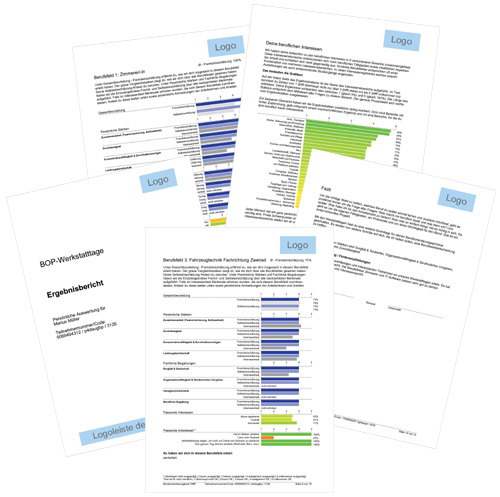 Auswertung BO-Tage Berufsfeldanalyse